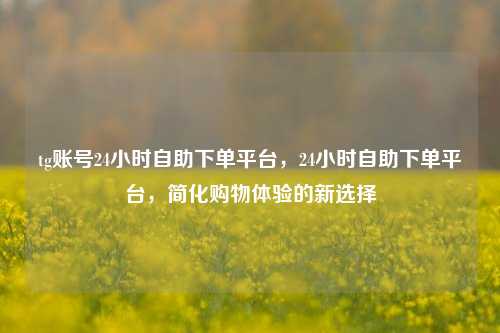 tg账号24小时自助下单平台，24小时自助下单平台，简化购物体验的新选择  第1张