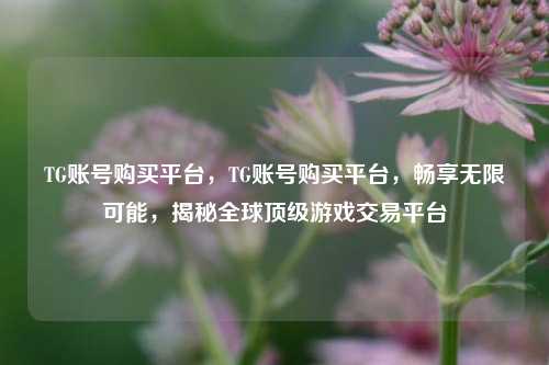 TG账号购买平台，TG账号购买平台，畅享无限可能，揭秘全球顶级游戏交易平台