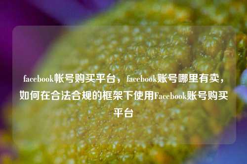 facebook帐号购买平台，facebook账号哪里有卖，如何在合法合规的框架下使用Facebook账号购买平台