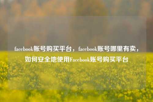 facebook帐号购买平台，facebook账号哪里有卖，如何安全地使用Facebook账号购买平台