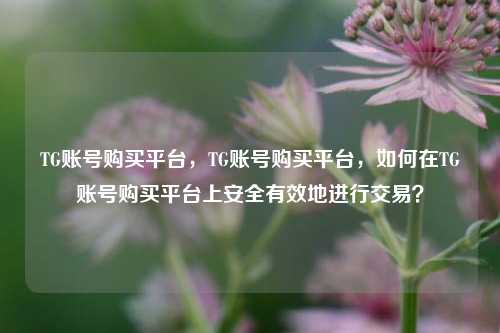 TG账号购买平台，TG账号购买平台，如何在TG账号购买平台上安全有效地进行交易？
