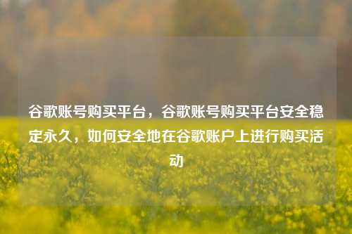 谷歌账号购买平台，谷歌账号购买平台安全稳定永久，如何安全地在谷歌账户上进行购买活动