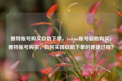 推特账号购买自助下单，twitter账号自助购买，推特账号购买，如何实现自助下单的便捷过程？