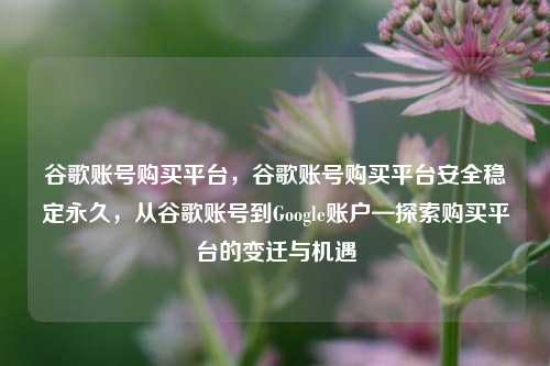 谷歌账号购买平台，谷歌账号购买平台安全稳定永久，从谷歌账号到Google账户—探索购买平台的变迁与机遇