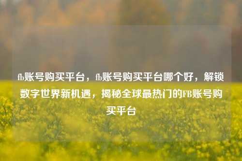 fb账号购买平台，fb账号购买平台哪个好，解锁数字世界新机遇，揭秘全球最热门的FB账号购买平台