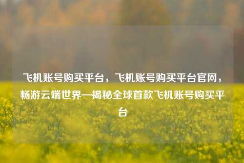 飞机账号购买平台，飞机账号购买平台官网，畅游云端世界—揭秘全球首款飞机账号购买平台