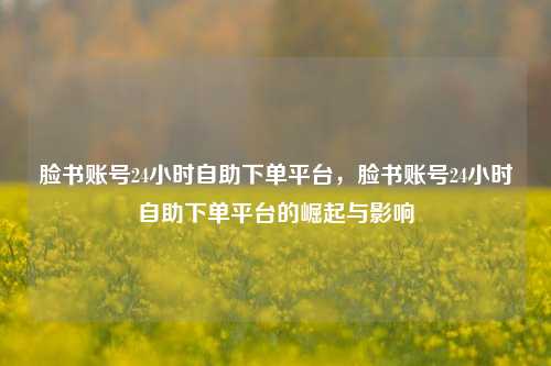 脸书账号24小时自助下单平台，脸书账号24小时自助下单平台的崛起与影响