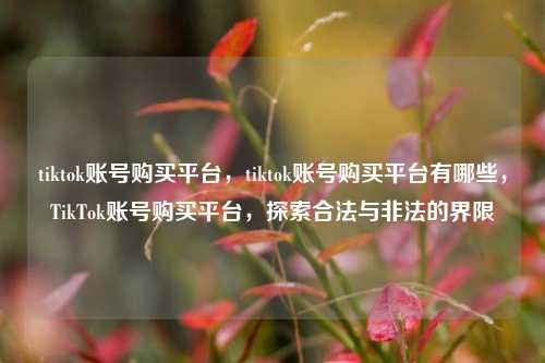 tiktok账号购买平台，tiktok账号购买平台有哪些，TikTok账号购买平台，探索合法与非法的界限