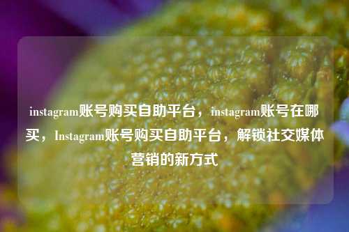 instagram账号购买自助平台，instagram账号在哪买，Instagram账号购买自助平台，解锁社交媒体营销的新方式