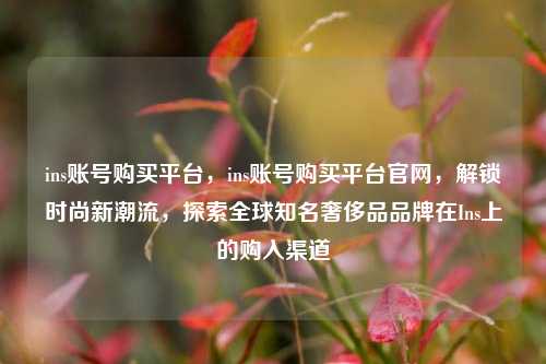 ins账号购买平台，ins账号购买平台官网，解锁时尚新潮流，探索全球知名奢侈品品牌在Ins上的购入渠道