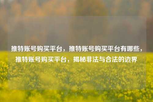推特账号购买平台，推特账号购买平台有哪些，推特账号购买平台，揭秘非法与合法的边界