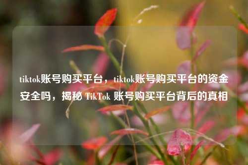 tiktok账号购买平台，tiktok账号购买平台的资金安全吗，揭秘 TikTok 账号购买平台背后的真相