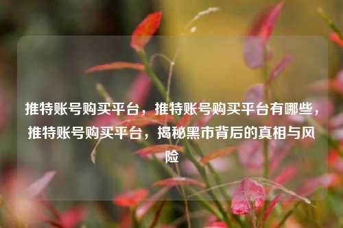 推特账号购买平台，推特账号购买平台有哪些，推特账号购买平台，揭秘黑市背后的真相与风险