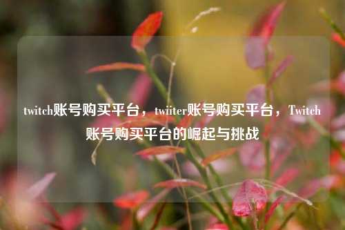 twitch账号购买平台，twiiter账号购买平台，Twitch账号购买平台的崛起与挑战