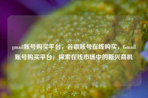 gmail账号购买平台，谷歌账号在线购买，Gmail账号购买平台，探索在线市场中的新兴商机