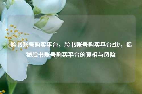 脸书账号购买平台，脸书账号购买平台2块，揭秘脸书账号购买平台的真相与风险