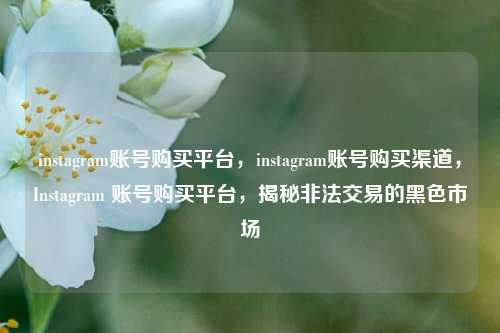 instagram账号购买平台，instagram账号购买渠道，Instagram 账号购买平台，揭秘非法交易的黑色市场