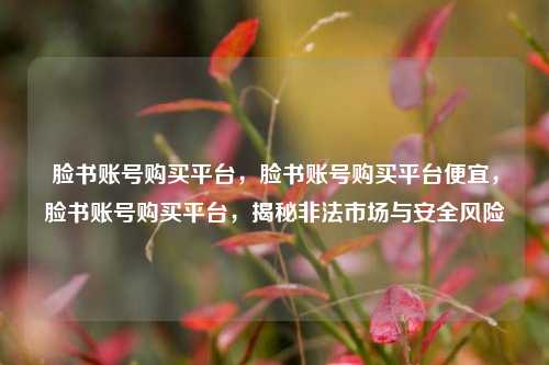脸书账号购买平台，脸书账号购买平台便宜，脸书账号购买平台，揭秘非法市场与安全风险