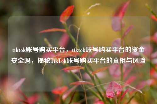 tiktok账号购买平台，tiktok账号购买平台的资金安全吗，揭秘TikTok账号购买平台的真相与风险