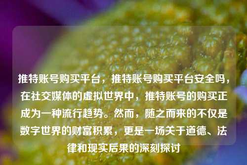 推特账号购买平台，推特账号购买平台安全吗，在社交媒体的虚拟世界中，推特账号的购买正成为一种流行趋势。然而，随之而来的不仅是数字世界的财富积累，更是一场关于道德、法律和现实后果的深刻探讨