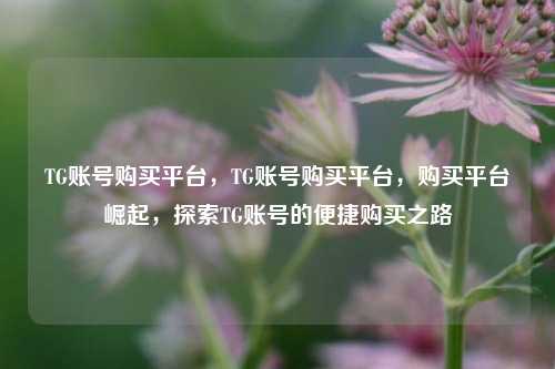 TG账号购买平台	，TG账号购买平台，购买平台崛起，探索TG账号的便捷购买之路  第1张