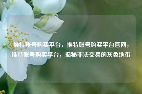 推特账号购买平台，推特账号购买平台官网，推特账号购买平台，揭秘非法交易的灰色地带