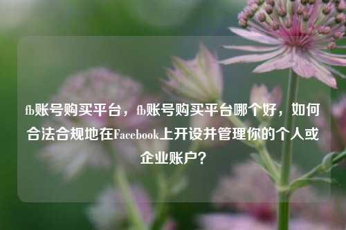 fb账号购买平台	，fb账号购买平台哪个好，如何合法合规地在Facebook上开设并管理你的个人或企业账户？  第1张