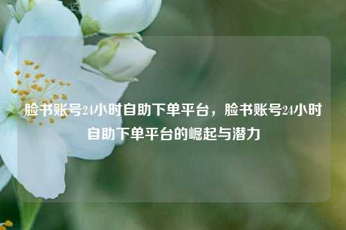 脸书账号24小时自助下单平台，脸书账号24小时自助下单平台的崛起与潜力