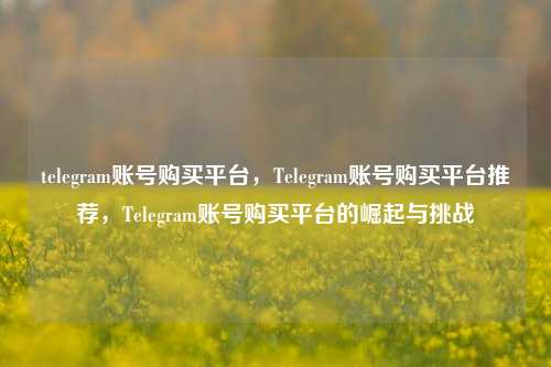 telegram账号购买平台，Telegram账号购买平台推荐，Telegram账号购买平台的崛起与挑战