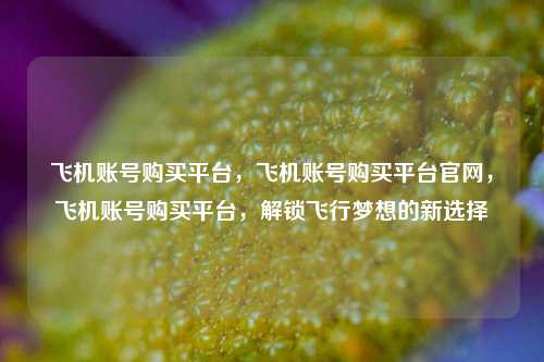 飞机账号购买平台，飞机账号购买平台官网，飞机账号购买平台，解锁飞行梦想的新选择