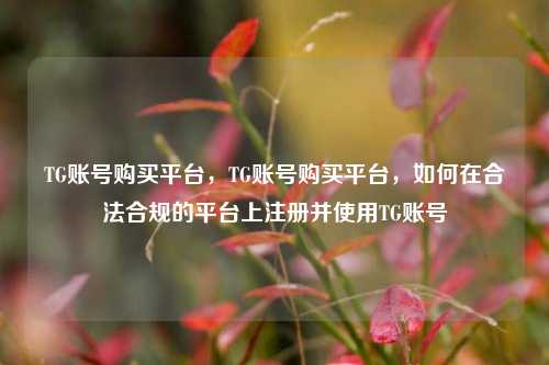 TG账号购买平台	，TG账号购买平台，如何在合法合规的平台上注册并使用TG账号  第1张