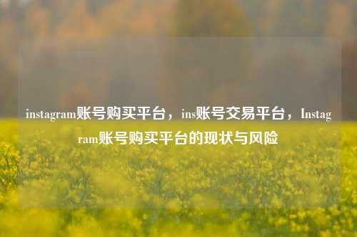 instagram账号购买平台，ins账号交易平台，Instagram账号购买平台的现状与风险
