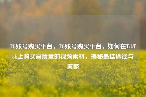 TG账号购买平台，TG账号购买平台，如何在TikTok上购买高质量的视频素材，揭秘最佳途径与策略