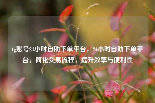 tg账号24小时自助下单平台，24小时自助下单平台，简化交易流程	，提升效率与便利性  第1张