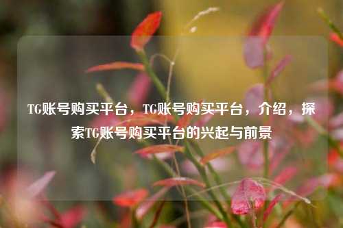 TG账号购买平台，TG账号购买平台，介绍，探索TG账号购买平台的兴起与前景