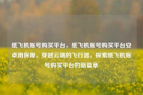 纸飞机账号购买平台，纸飞机账号购买平台安卓用保障，穿越云端的飞行器，探索纸飞机账号购买平台的新篇章