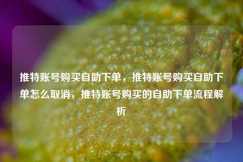 推特账号购买自助下单，推特账号购买自助下单怎么取消，推特账号购买的自助下单流程解析