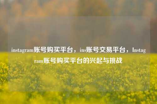 instagram账号购买平台，ins账号交易平台，Instagram账号购买平台的兴起与挑战