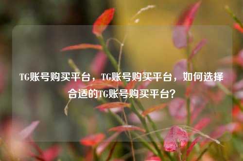 TG账号购买平台，TG账号购买平台，如何选择合适的TG账号购买平台？
