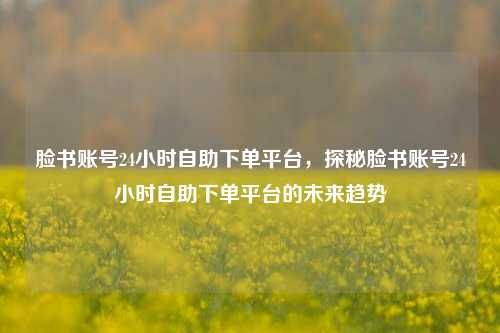 脸书账号24小时自助下单平台，探秘脸书账号24小时自助下单平台的未来趋势
