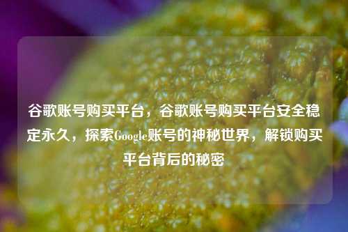 谷歌账号购买平台，谷歌账号购买平台安全稳定永久，探索Google账号的神秘世界，解锁购买平台背后的秘密