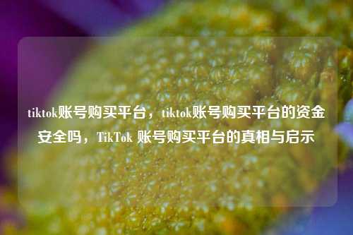 tiktok账号购买平台，tiktok账号购买平台的资金安全吗，TikTok 账号购买平台的真相与启示