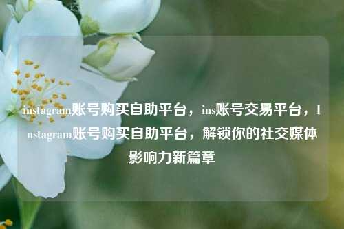 instagram账号购买自助平台，ins账号交易平台，Instagram账号购买自助平台，解锁你的社交媒体影响力新篇章