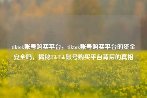 tiktok账号购买平台，tiktok账号购买平台的资金安全吗，揭秘TikTok账号购买平台背后的真相