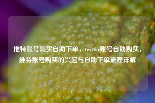 推特账号购买自助下单，twitter账号自助购买，推特账号购买的兴起与自助下单流程详解