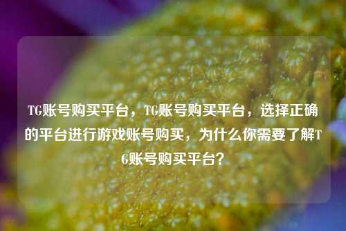 TG账号购买平台，TG账号购买平台，选择正确的平台进行游戏账号购买，为什么你需要了解TG账号购买平台？
