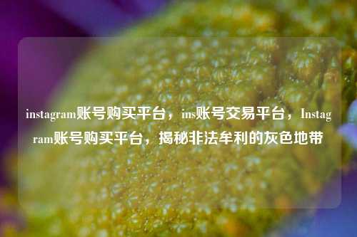 instagram账号购买平台，ins账号交易平台，Instagram账号购买平台，揭秘非法牟利的灰色地带