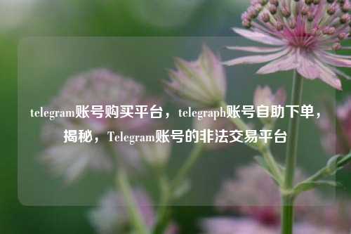 telegram账号购买平台，telegraph账号自助下单，揭秘，Telegram账号的非法交易平台