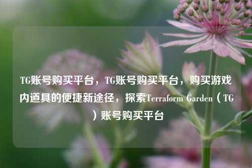 TG账号购买平台，TG账号购买平台，购买游戏内道具的便捷新途径，探索Terraform Garden（TG）账号购买平台