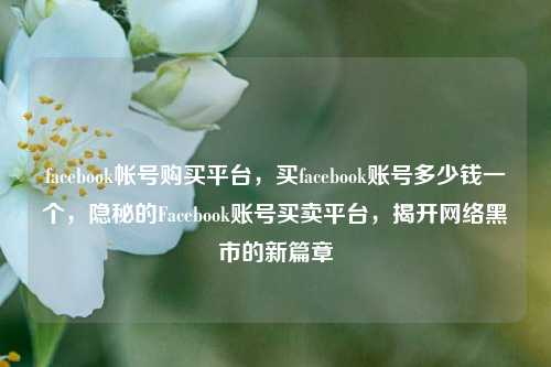 facebook帐号购买平台，买facebook账号多少钱一个，隐秘的Facebook账号买卖平台，揭开网络黑市的新篇章